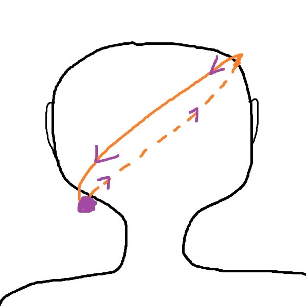 Hinterkopf mit schräger gedachter Kreisbewegung von unten links ausgehend