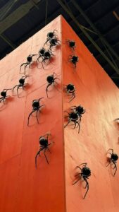große Spinnenschälen sich aus einer orangeroten Wand